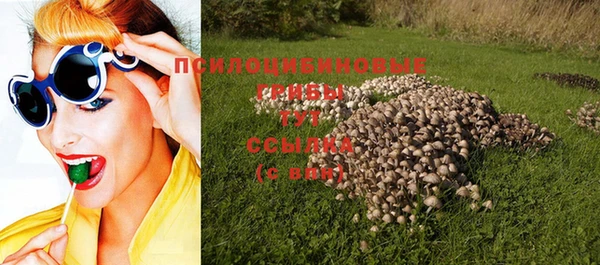 крисы Верея