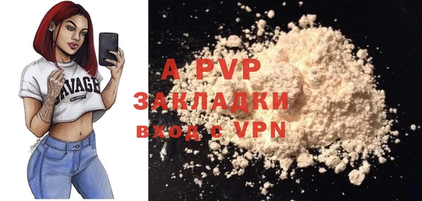 крисы Верея