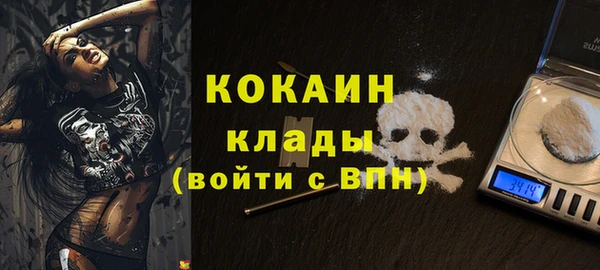 крисы Верея